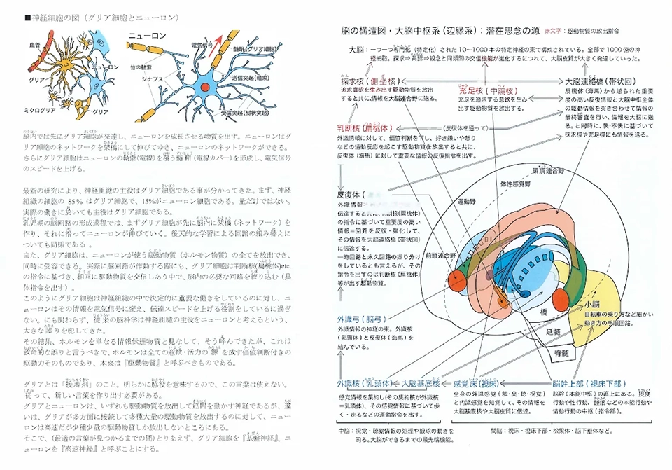 脳の構造と潜在思念の源