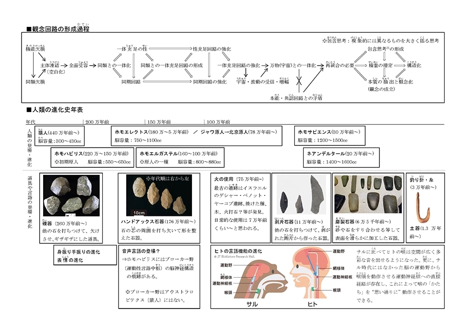 人類の進化史