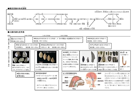 人類の進化史