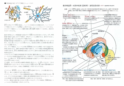 脳の構造と潜在思念の源